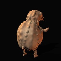 FREE 3D Model THE CHICKEN