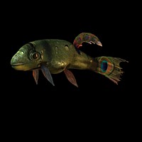 FREE 3D model FISCH 001